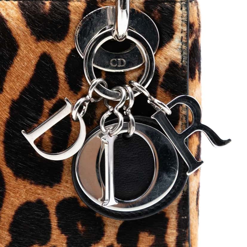 Dior Mini Pony Hair Leopard Print Lady Dior Brown Very good condition - Box View