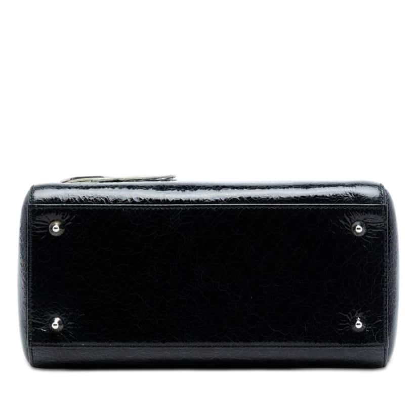 Dior Medium Ceramic Effect Deerskin Jeweled Swan Lady Dior Black Leather Very good condition - Inside View