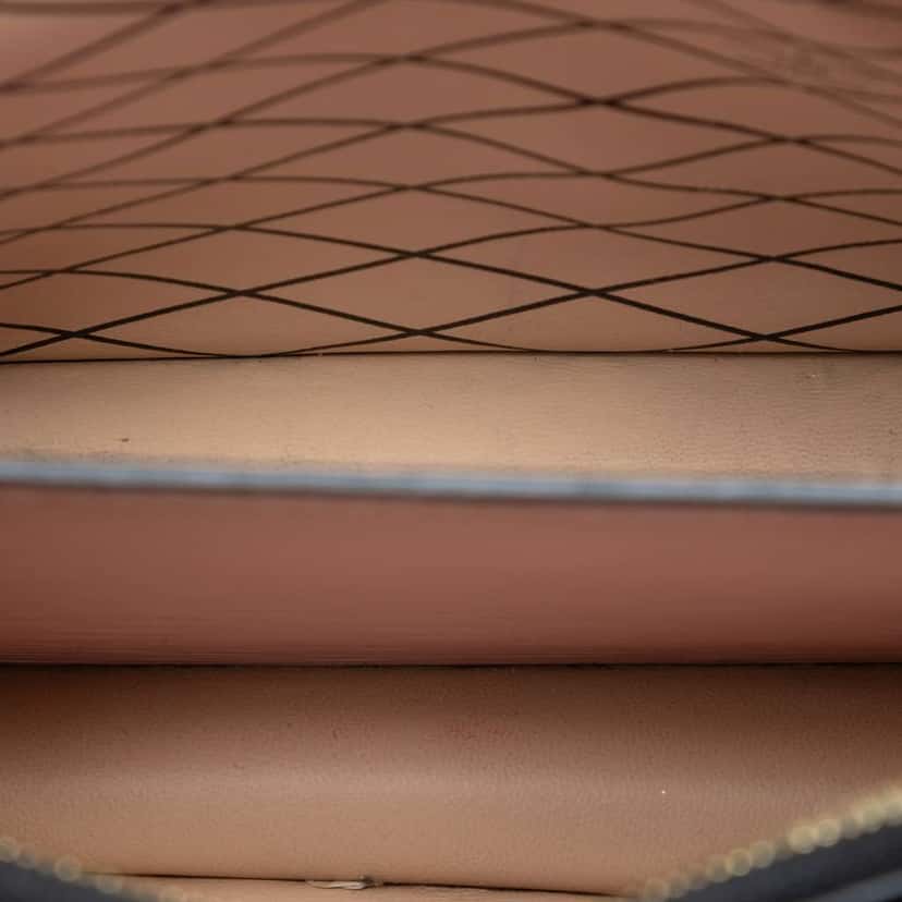 Louis Vuitton Epi Trunk Clutch Pink Leather Very good condition - Model View