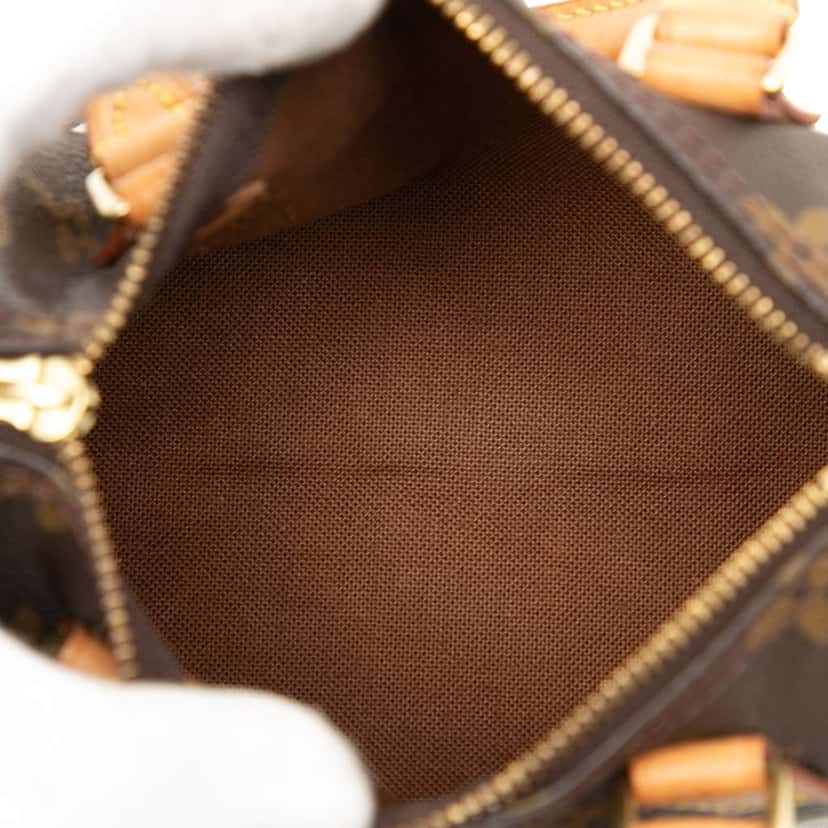 Louis Vuitton Monogram Mini Speedy HL Brown Very good condition - Model View