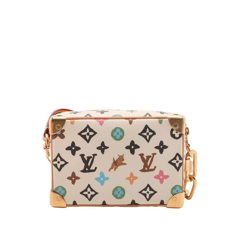 Louis Vuitton Tyler The Creator Monogram Craggy Mini Soft Trunk Brown Very good condition - Back View