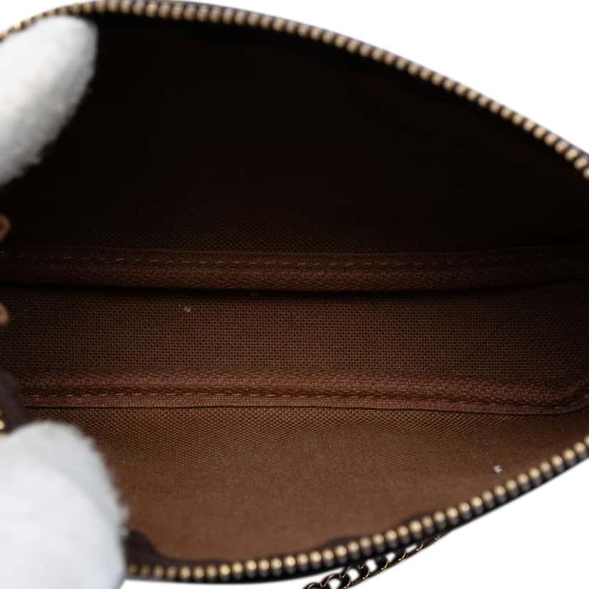 Louis Vuitton Monogram Mini Pochette Accessoires Brown Very good condition - Model View