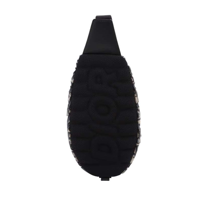 Dior Oblique Canvas Scarab Crossbody Blue Canvas Very good condition - Back View