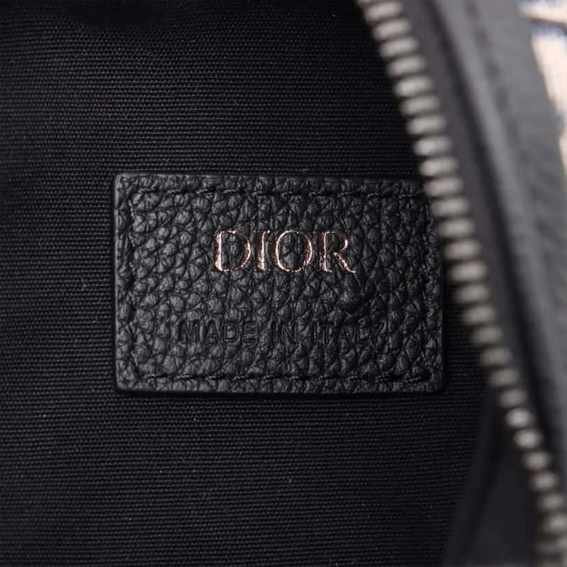 Dior Oblique Canvas Scarab Crossbody Blue Canvas Very good condition - Model View