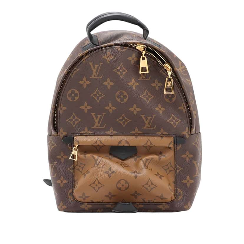 Louis Vuitton Monogram Reverse Palm Springs PM Brown Very good condition - Front View