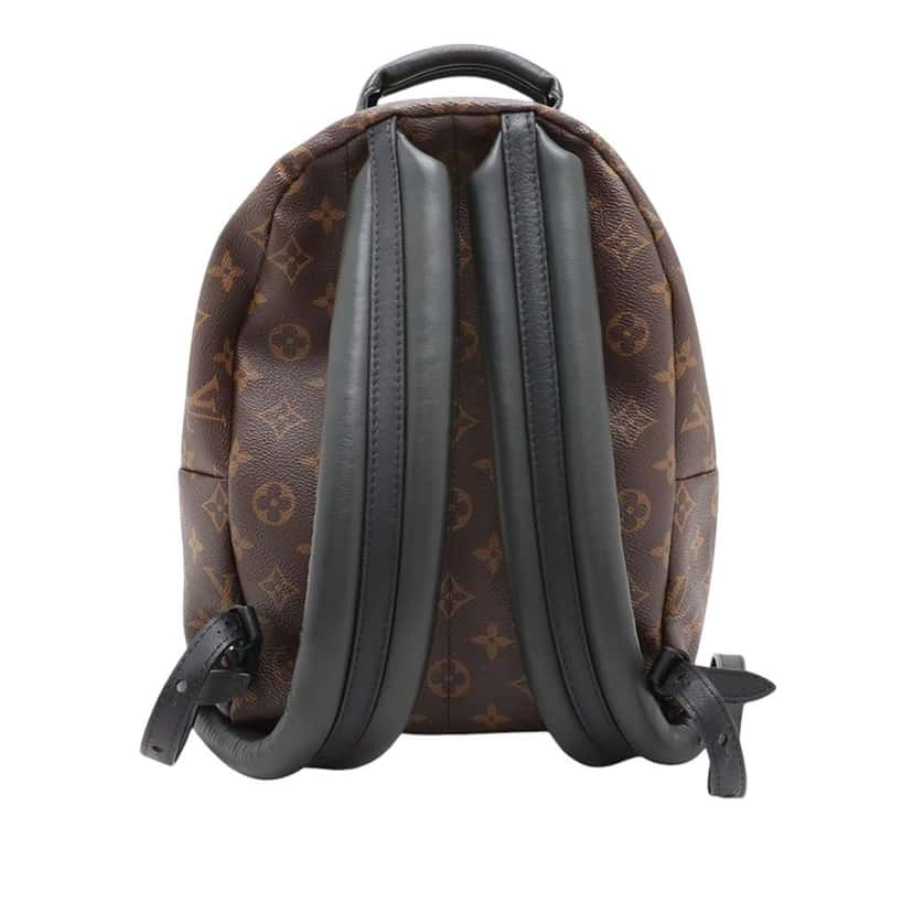 Louis Vuitton Monogram Reverse Palm Springs PM Brown Very good condition - Back View