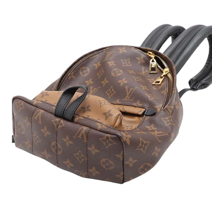 Louis Vuitton Monogram Reverse Palm Springs PM Brown Very good condition - Model View