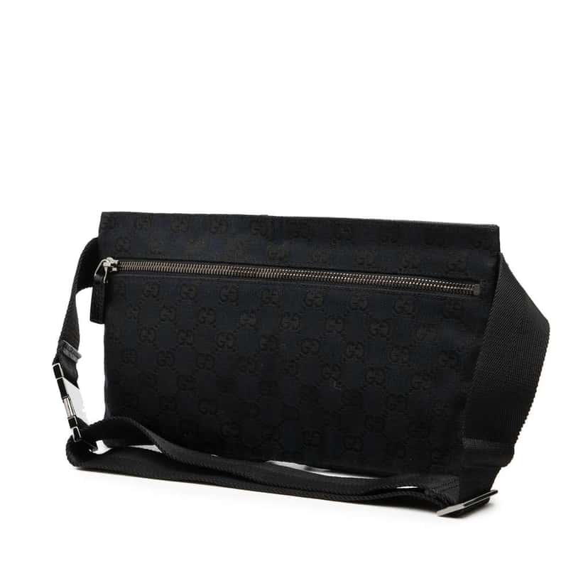 Gucci GG Canvas Double Pocket Belt Bag Blue Canvas Very good condition - Back View