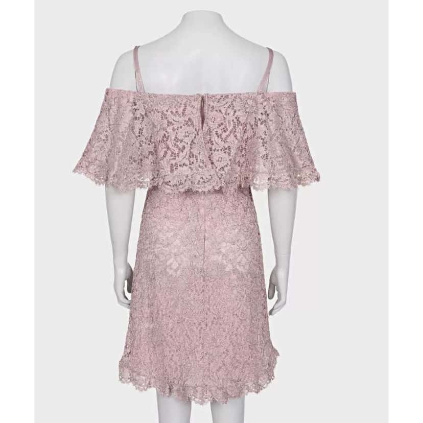 Valentino Garavani Valentino Lace Strappy Dress Pink Lace Very good condition - Inside View