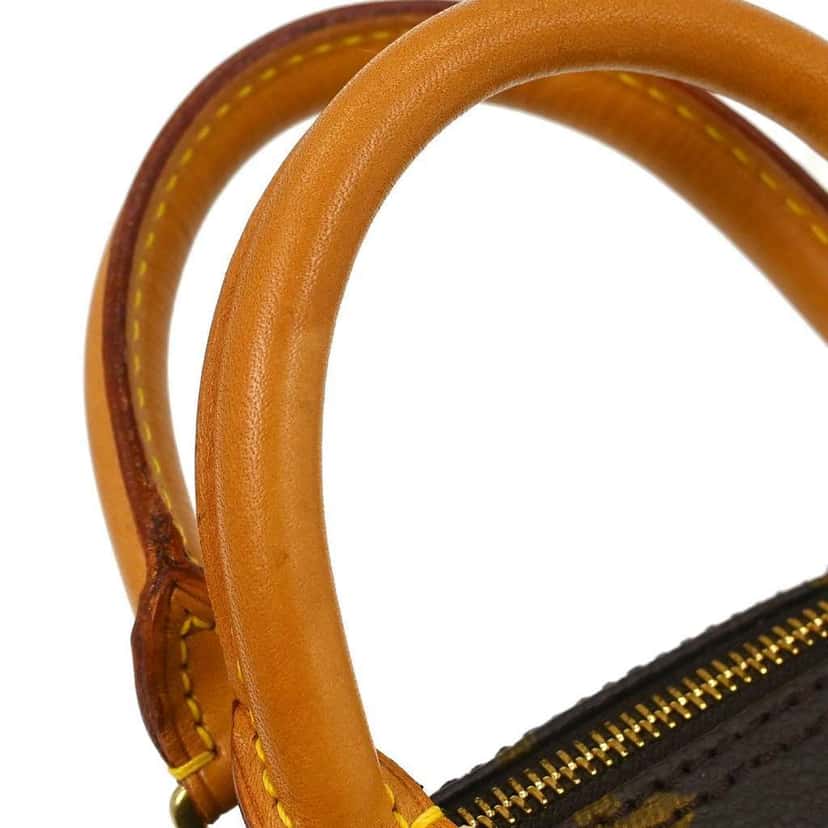 Louis Vuitton Speedy Mini HL Handbag Brown Canvas Good condition - Box View