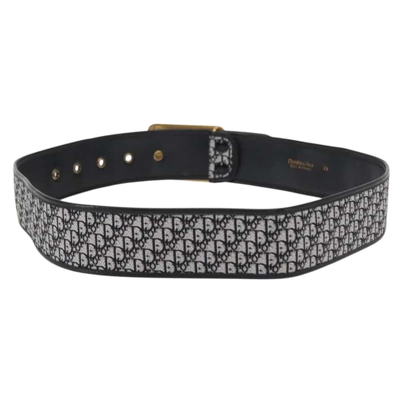 Christian Dior Vintage belt Black Canvas Good condition - Back View