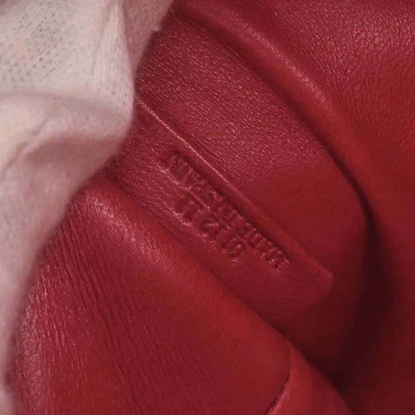 Loewe Amazona Bag Red Leather Good condition - Box View