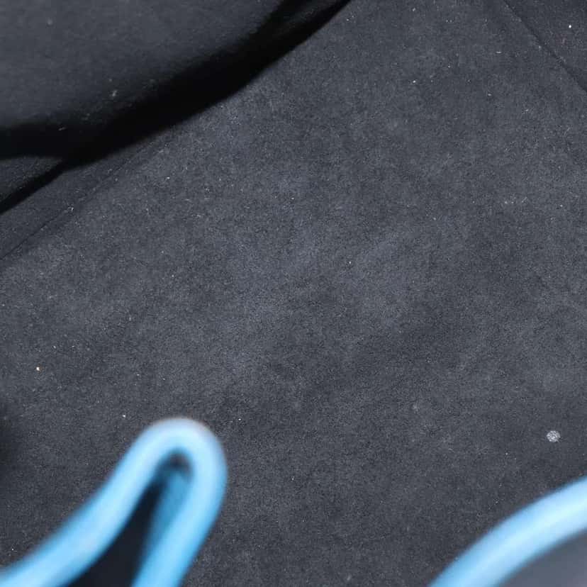 Louis Vuitton Bicolor Petit Noe Handbag Blue Leather Fair condition - Box View