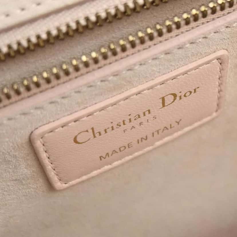 Christian Dior Dioraddict Flap Bag Pink Leather Good condition - Model View
