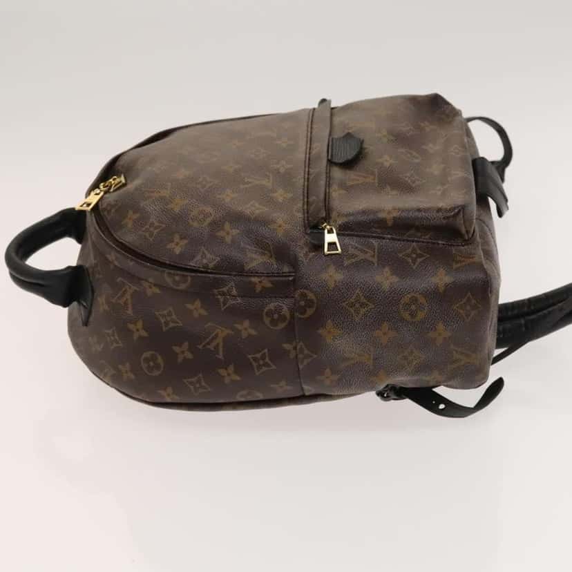 Louis Vuitton Palm Springs Backpack Brown Canvas Good condition - Model View