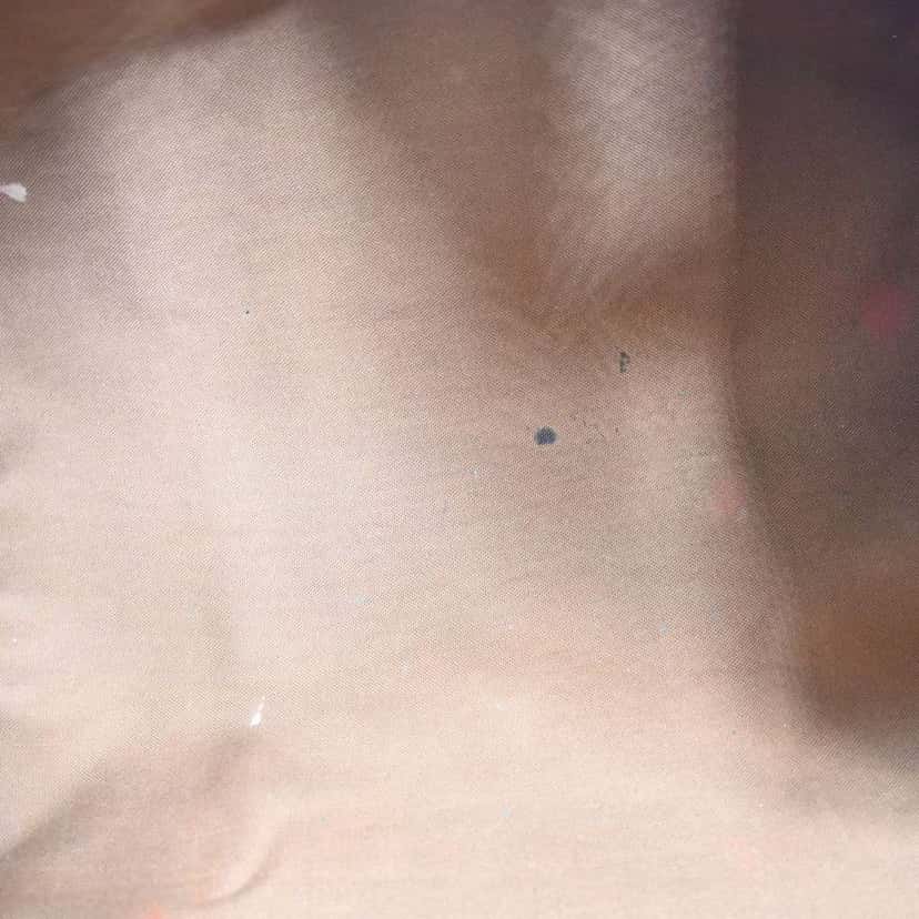 Louis Vuitton Speedy Handbag Brown Canvas Good condition - Inside View