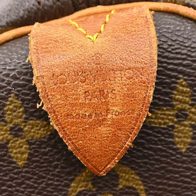 Louis Vuitton Speedy Handbag Brown Canvas Good condition - Model View