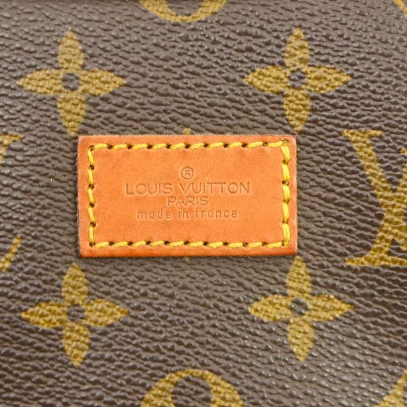 Louis Vuitton Saumur Handbag Brown Canvas Good condition - Model View