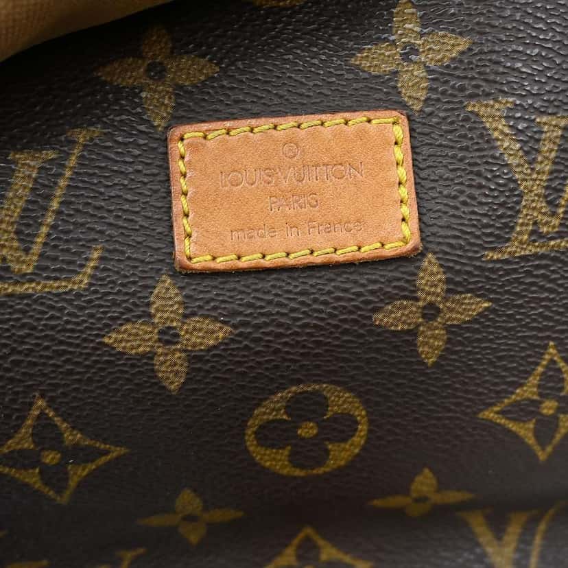 Louis Vuitton Saumur Handbag Brown Canvas Good condition - Model View