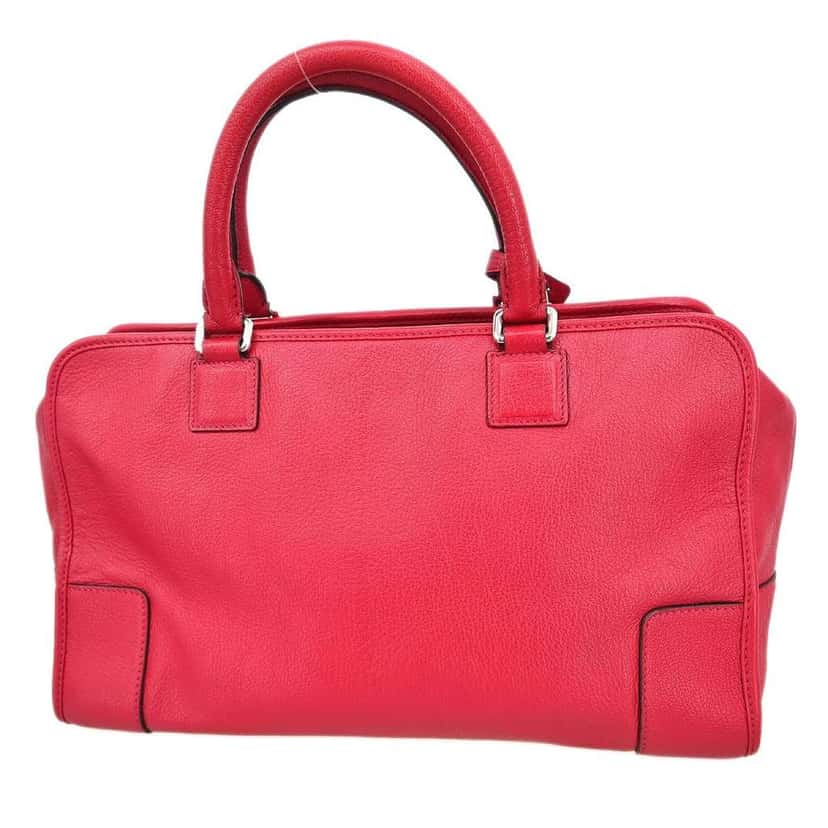 Loewe Amazona Bag Pink Leather Good condition - Back View