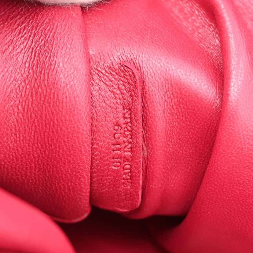 Loewe Amazona Bag Pink Leather Good condition - Box View