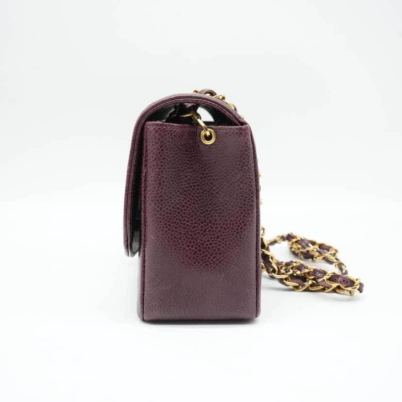 Chanel Chanel Diana Flap Bag Caviar Skin Burgundy Vintage Burgundy Fair condition - Model View