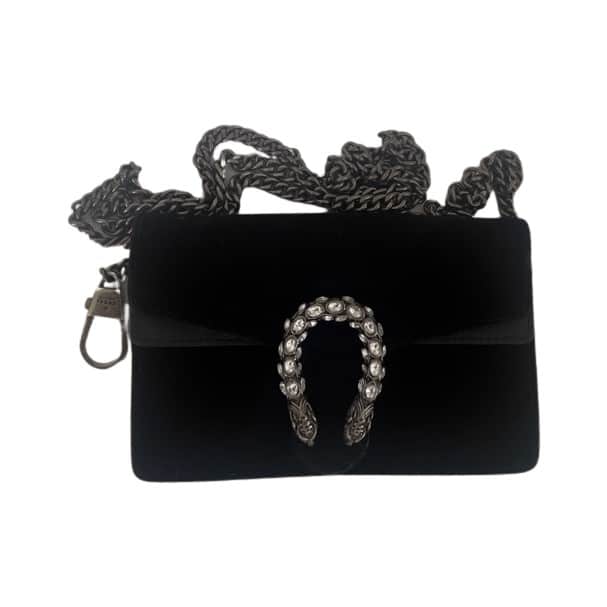 غوتشي ديونيسوس