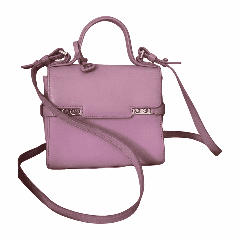 ديلفو تمبيتي ميني