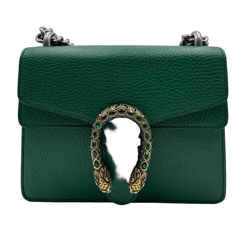 Gucci Dionysus Green Leather Very good condition - Front View