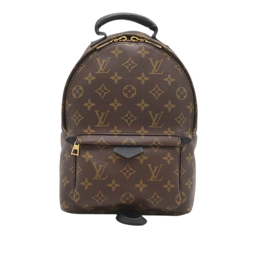 Louis Vuitton Monogram Palm Springs PM Brown Very good condition - Front View