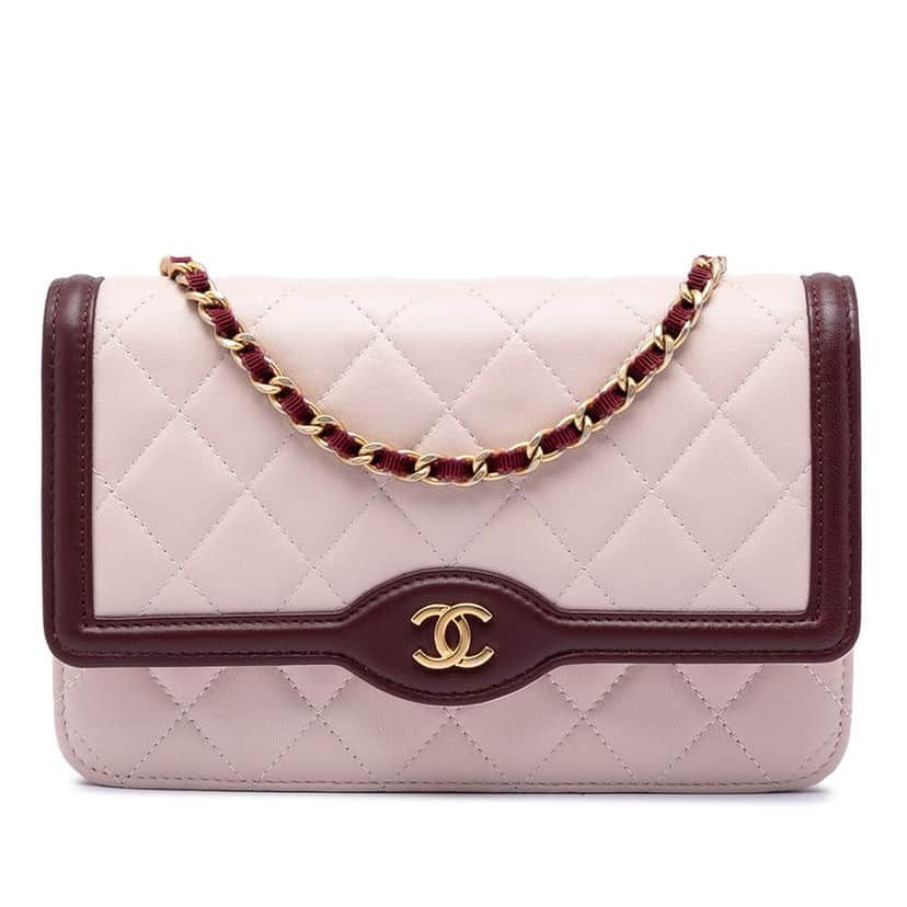 Chanel Mini Quilted Lambskin Two Tone Day Flap Pink Leather Very good condition - Front View