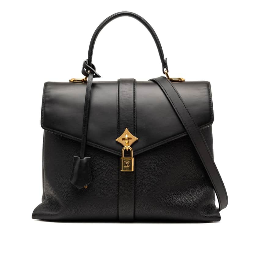 Louis Vuitton Grained Smooth Calfskin Rose Des Vents MM Black Leather Very good condition - Front View