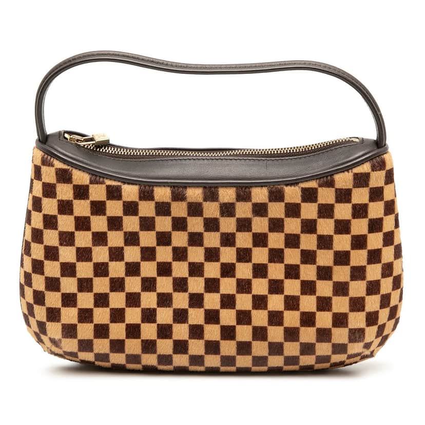 Louis Vuitton Damier Sauvage Tigre Brown Very good condition - Front View