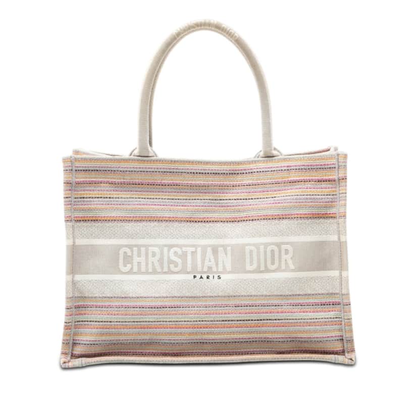 Dior Medium Embroidered Canvas Stripes Book Tote Other Very good condition - Front View