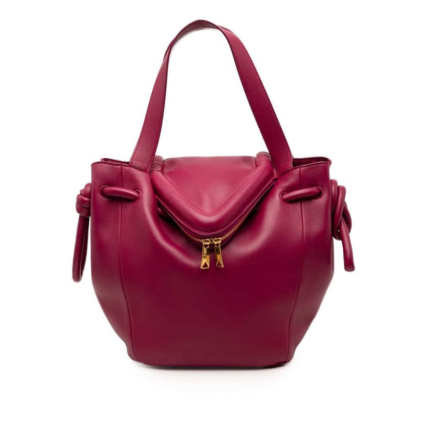 Bottega Veneta Small Calf Beak Bag Purple Leather Very good condition - Front View
