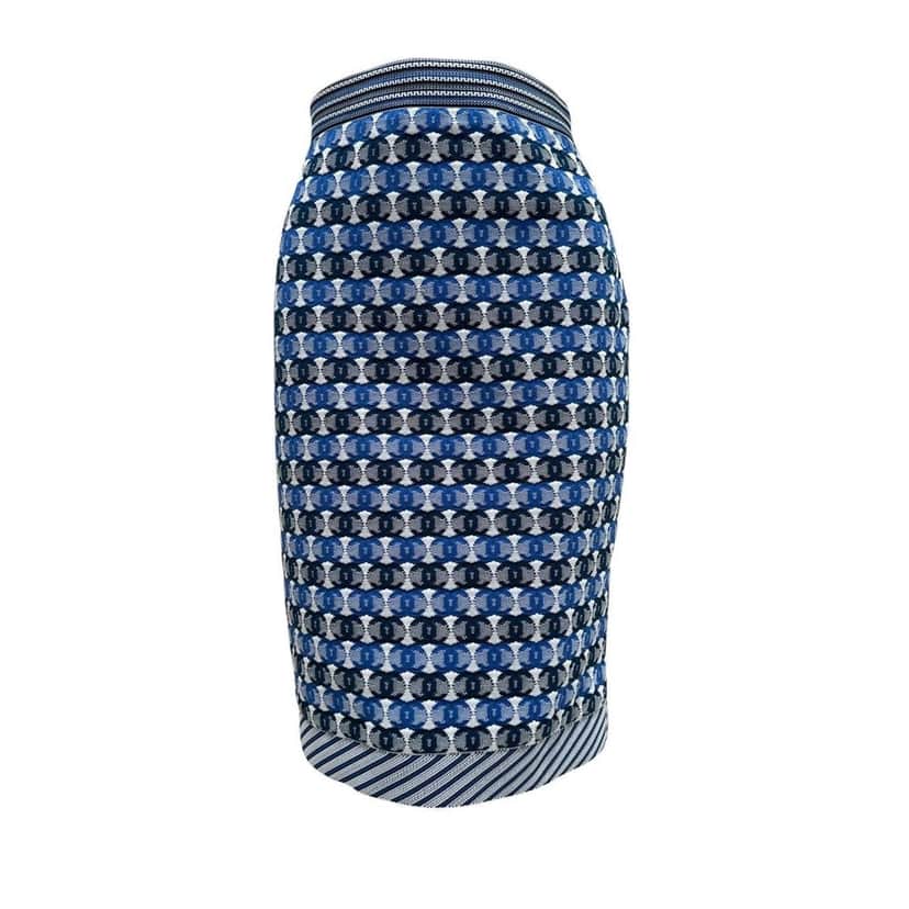 Chanel Chanel 2019 Pre-Spring Blue & White CC Logo Knee Skirt Sz 40 pre-owned White Good condition - Front View