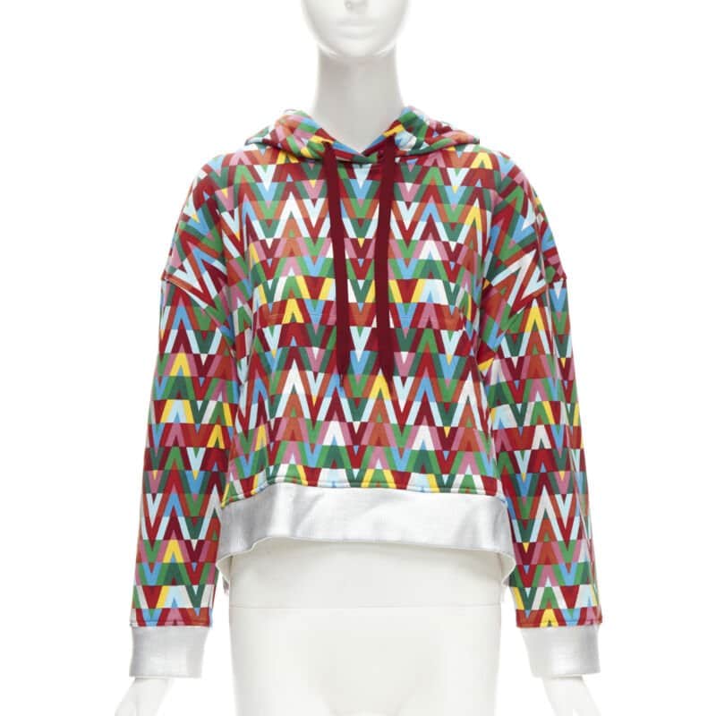 Valentino Garavani Silver Foil Hoodie MultiColor Cotton Never worn - Front View