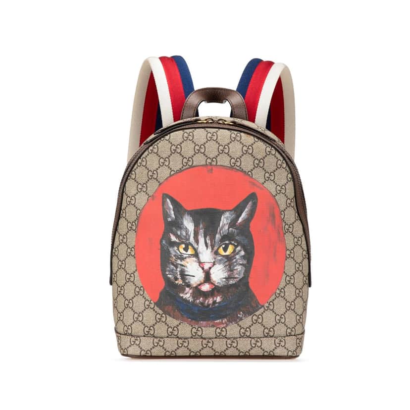 Gucci GG Supreme Bosco Web Backpack Brown Canvas Good condition - Front View