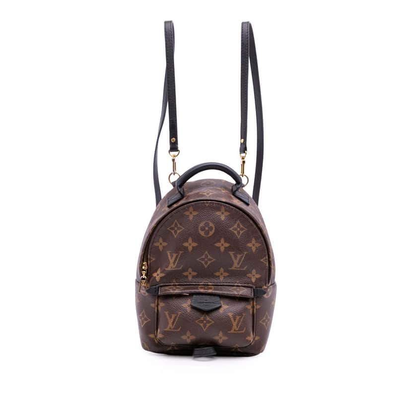 Louis Vuitton Monogram Mini Palm Springs Brown Canvas Good condition - Front View