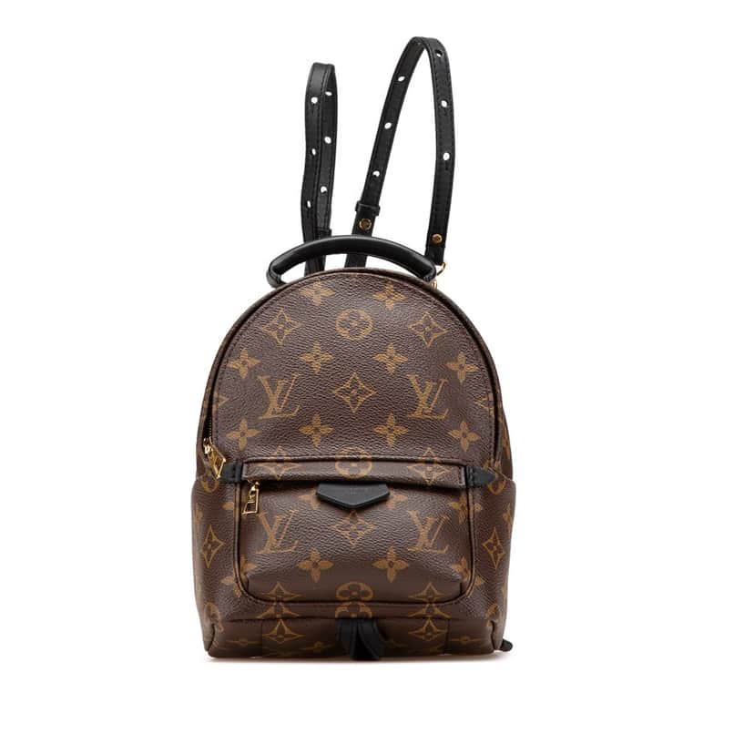 Louis Vuitton Monogram Mini Palm Springs Brown Canvas Good condition - Front View
