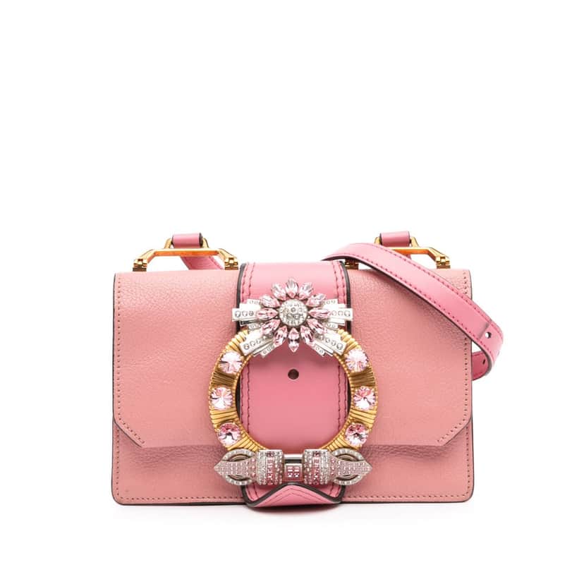 Miu Miu Goatskin Madras Soft Calf Crystal Embellished Crossbody Pink Leather Good condition - Front View