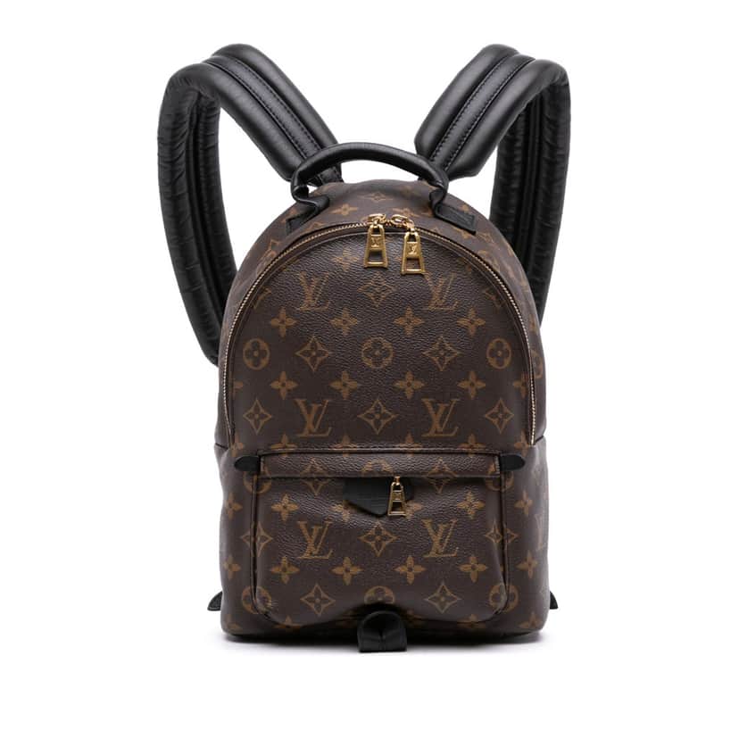 Louis Vuitton Monogram Palm Springs PM Brown Canvas Good condition - Front View