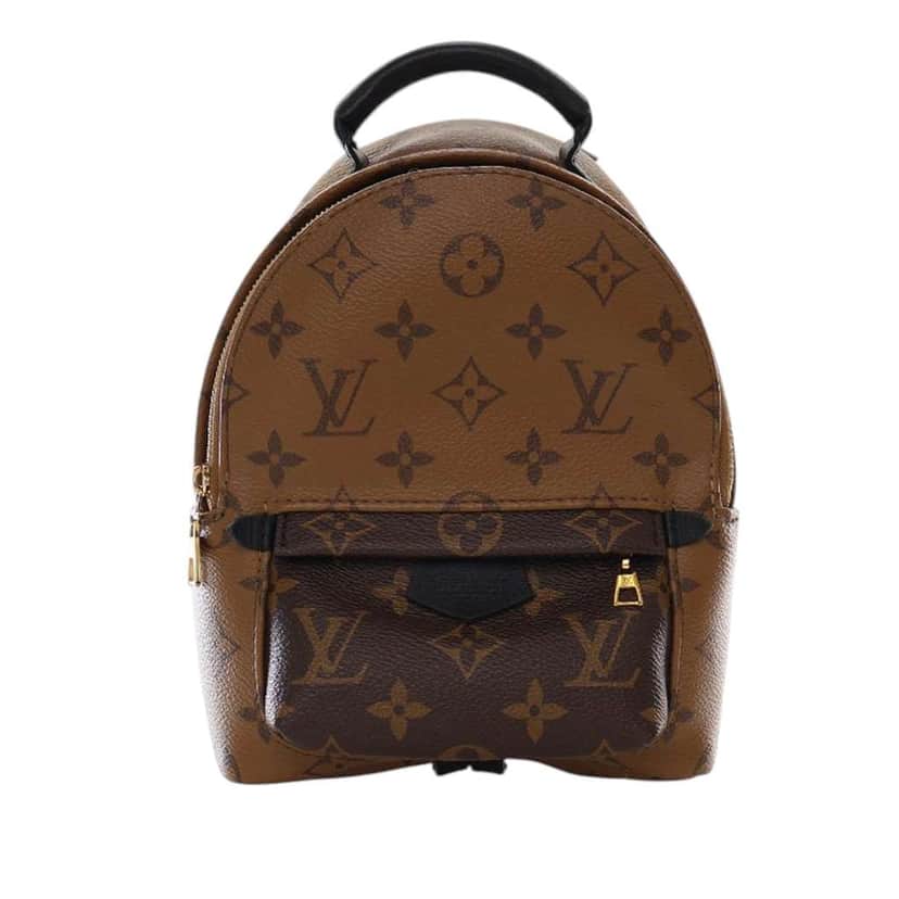 Louis Vuitton Monogram Reverse Mini Palm Springs Brown Good condition - Front View