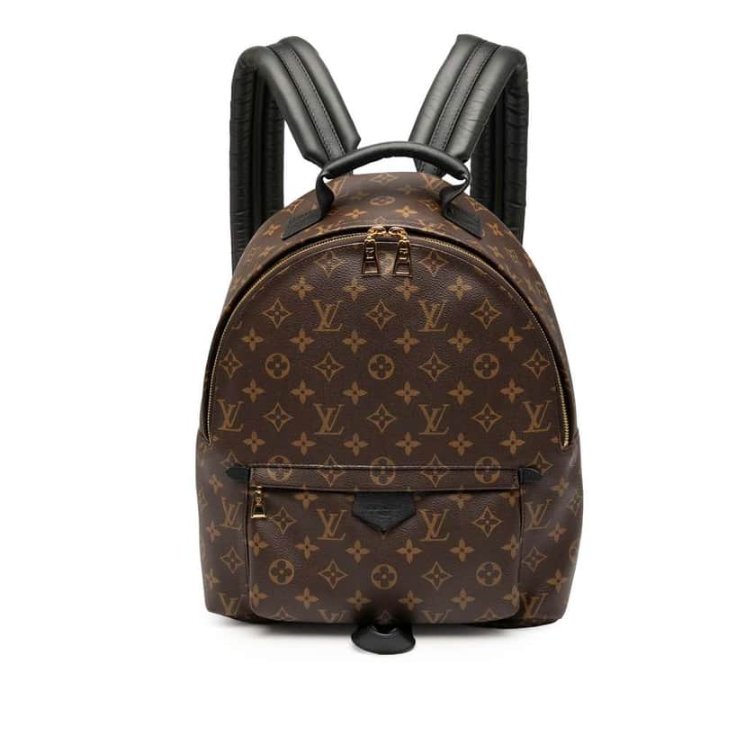 Louis Vuitton Monogram Palm Springs MM Brown Good condition - Front View