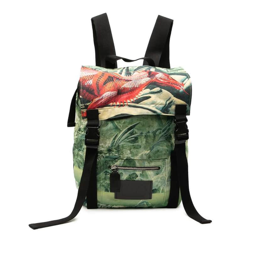 Valentino Roger Dean Red Dragon Nylon Backpack Green Very good condition - Front View