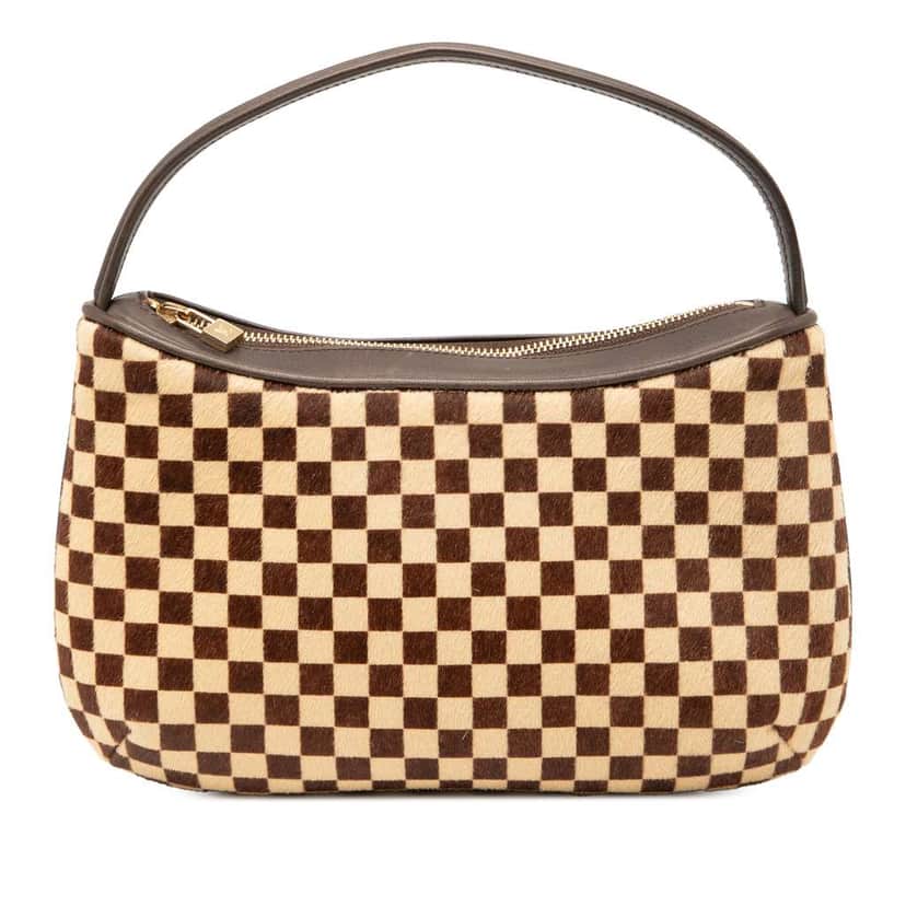 Louis Vuitton Damier Sauvage Tigre Brown Good condition - Front View
