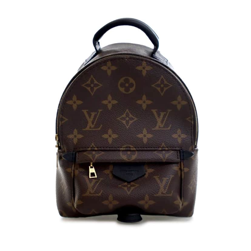 Louis Vuitton Monogram Mini Palm Springs Brown Good condition - Front View