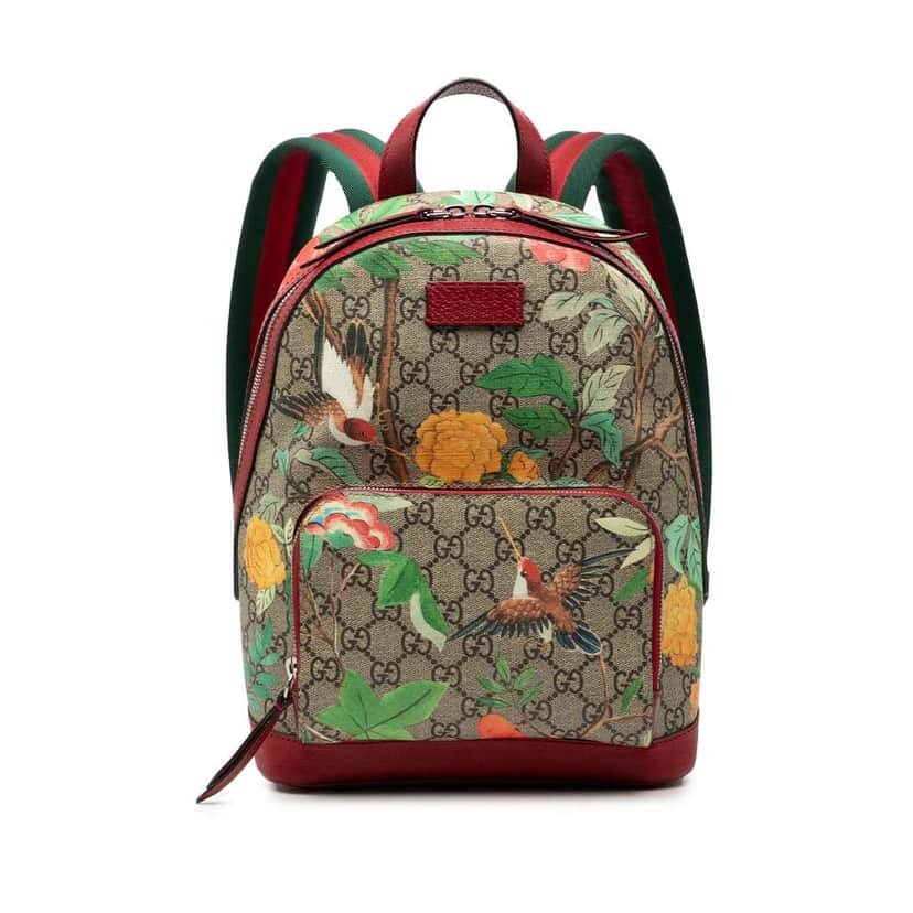 Gucci Small GG Supreme Web Tian Backpack Brown Canvas Good condition - Front View