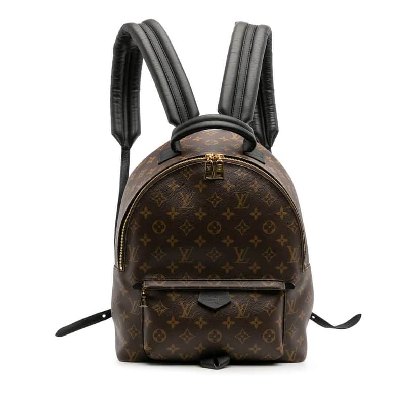 Louis Vuitton Monogram Palm Springs MM Brown Good condition - Front View