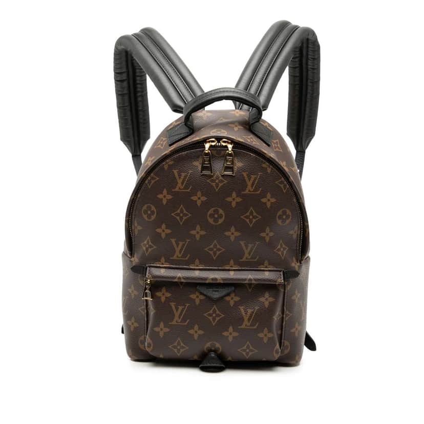 Louis Vuitton Monogram Palm Springs PM Brown Very good condition - Front View